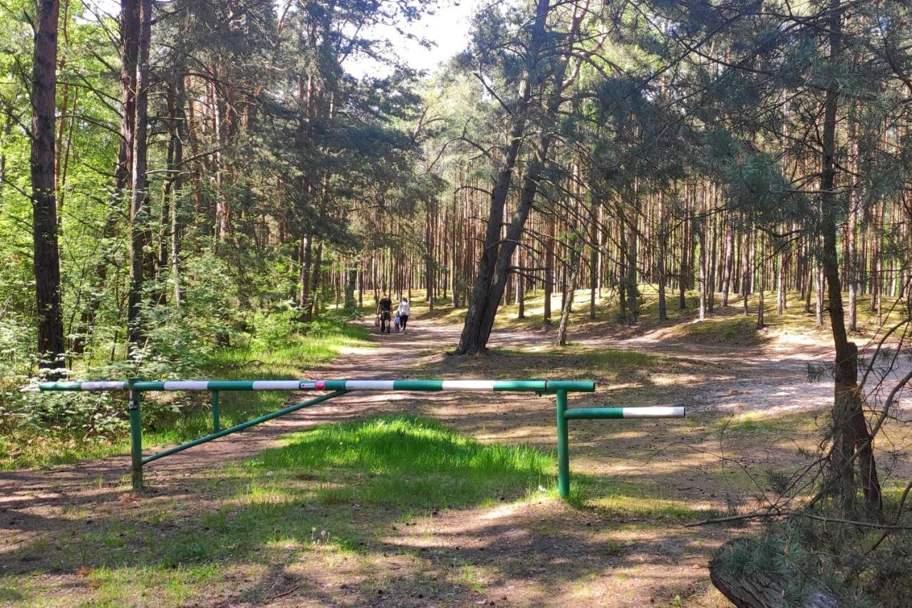 Camp Bursztynowy Las Gdansk Bagian luar foto