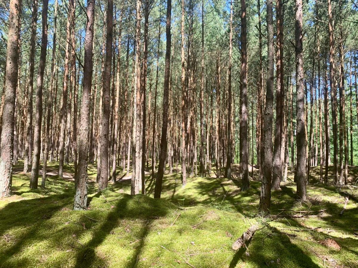 Camp Bursztynowy Las Gdansk Bagian luar foto