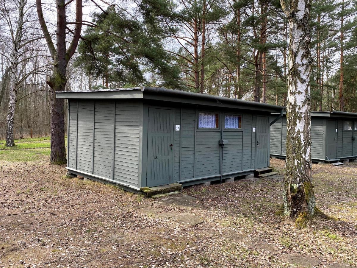 Camp Bursztynowy Las Gdansk Bagian luar foto